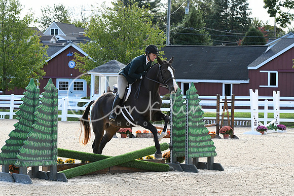 HSM_7309