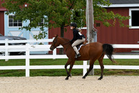 HSM_6777
