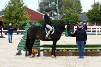 HSM_9368