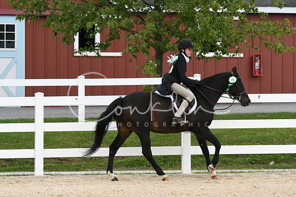HSM_9413