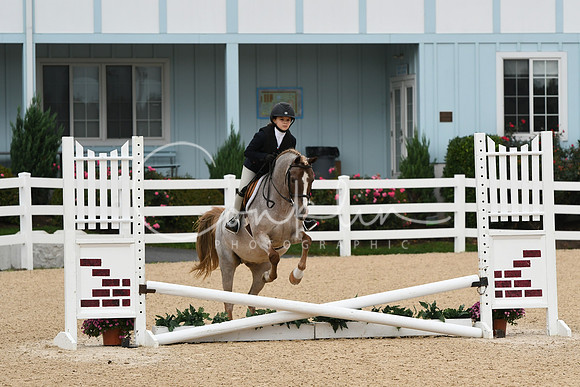 HSM_4509