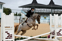 HSM_4511
