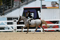 HSM_5637