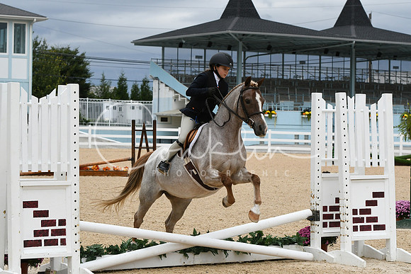HSM_5649