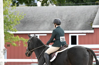 HSM_8595