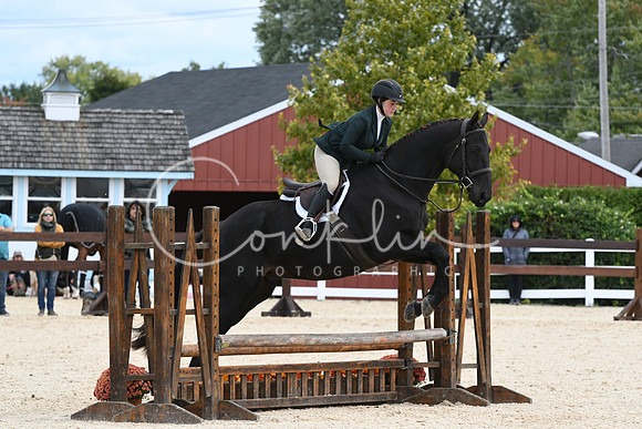 HSM_8596