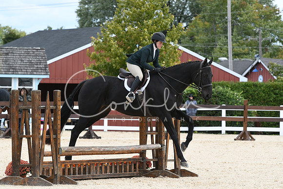 HSM_8597
