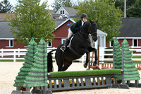 HSM_8602