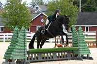 HSM_8603