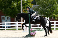 HSM_8649