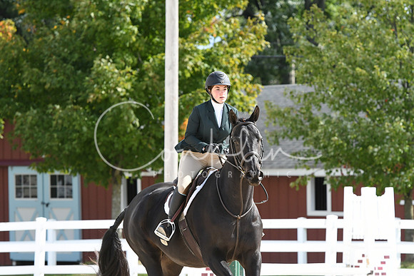 HSM_8653
