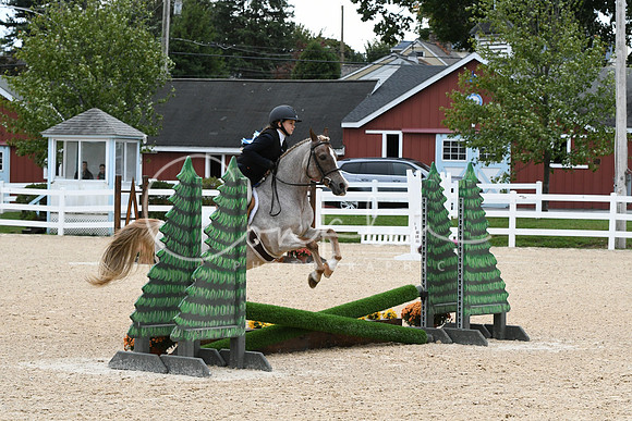 HSM_5816