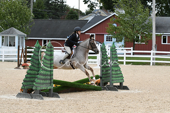 HSM_5817