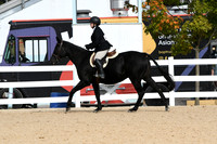 HSM_5084