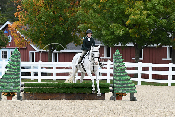 HSM_6531