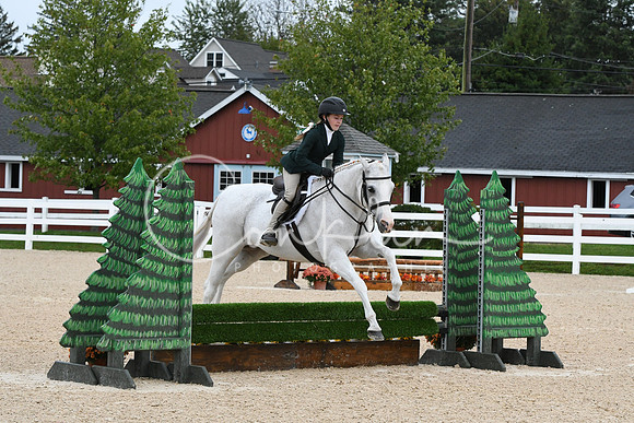 HSM_6533