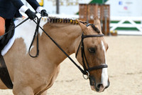 HSM_5325