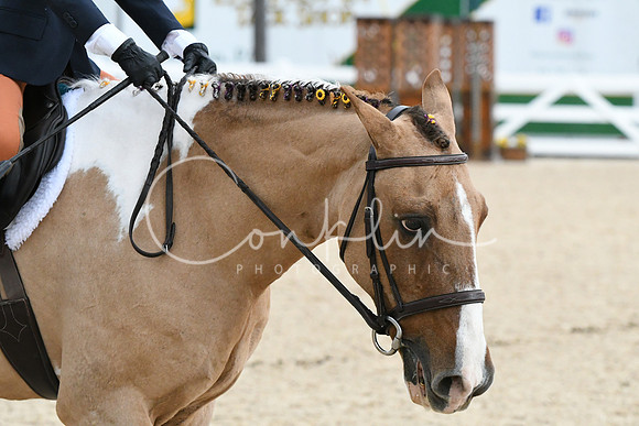 HSM_5325