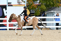 HSM_5323