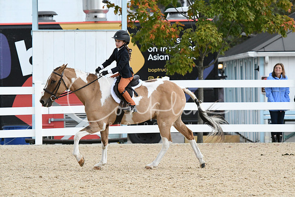 HSM_5323