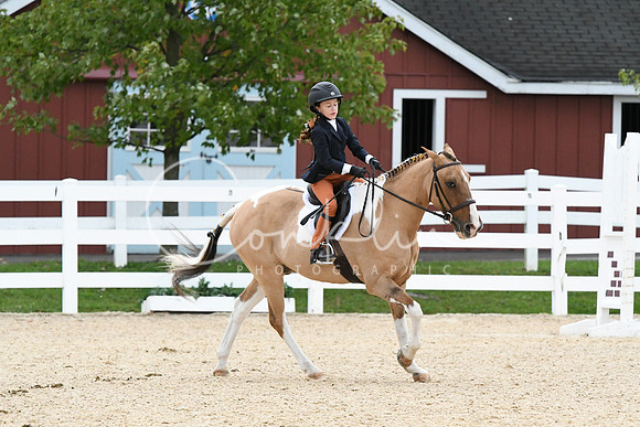 HSM_5367