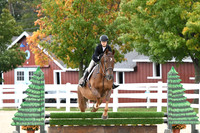 HSM_6395