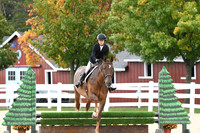 HSM_6396