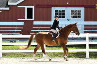 HSM_8467
