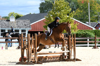 HSM_8471