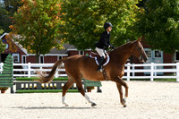HSM_8473