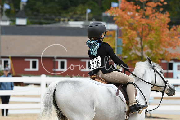 HSM_5617