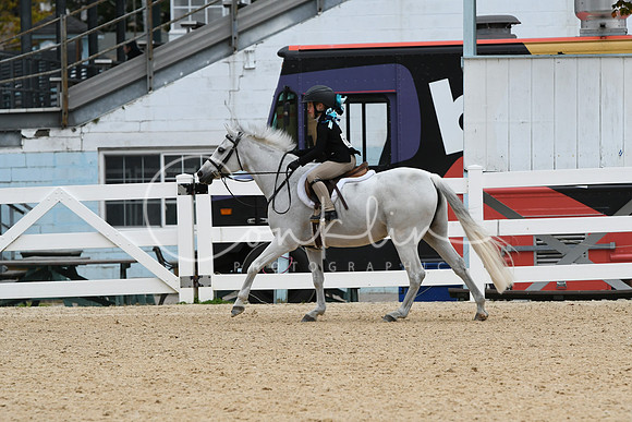 HSM_5619