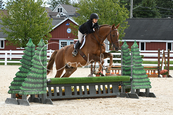 HSM_8541