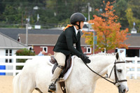 HSM_4501
