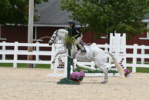 HSM_5853