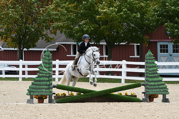 HSM_5854