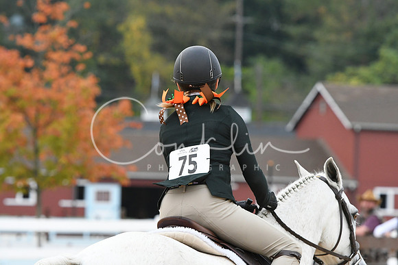 HSM_4494