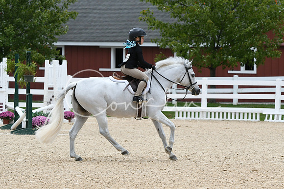 HSM_5862