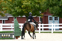 HSM_8174