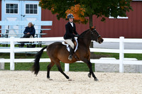 HSM_8163