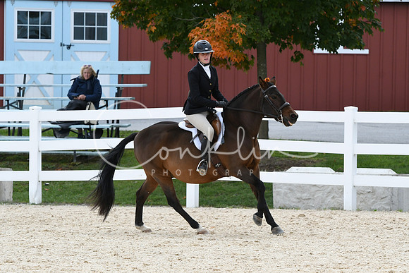 HSM_8163