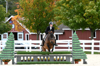 HSM_8168