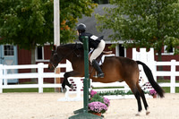 HSM_8223