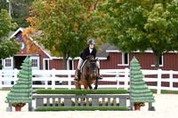 HSM_8225