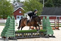 HSM_8228