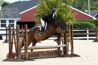 HSM_8229