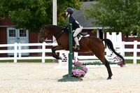 HSM_8554
