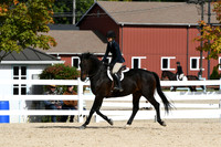 HSM_7923