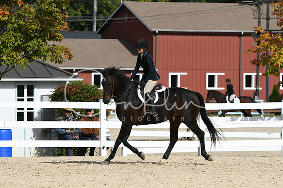 HSM_7923