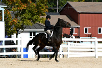 HSM_7924
